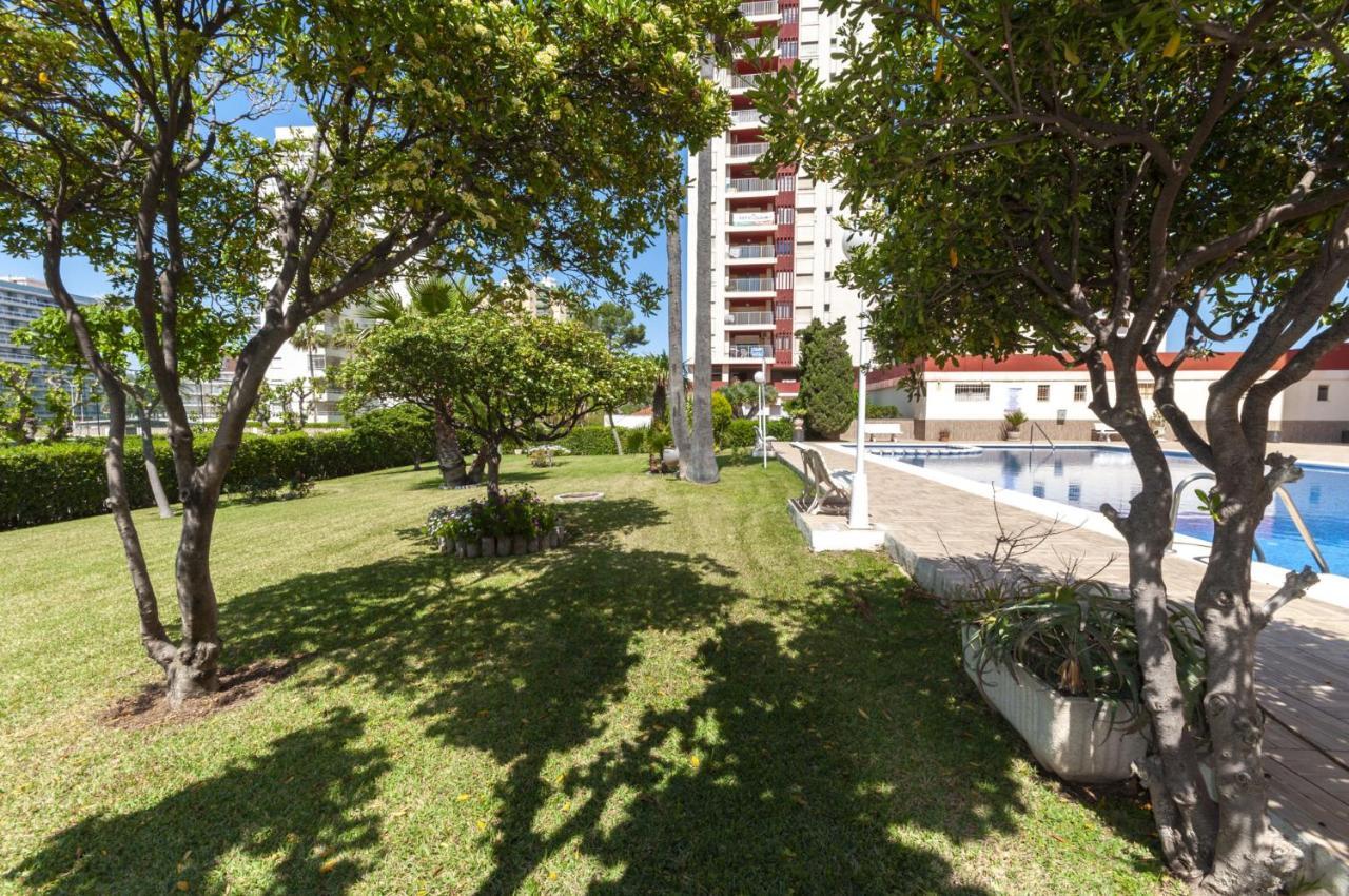 Ag Aquarium Apartment Playa de Gandia Exterior foto